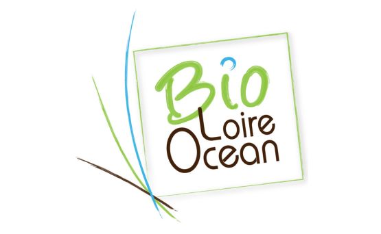 BLO logo