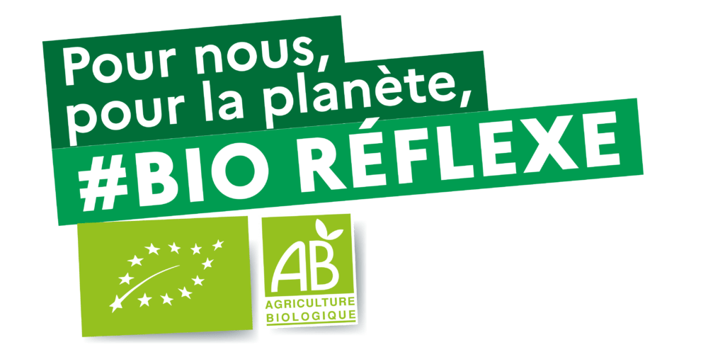 Logo Bio Réflexe